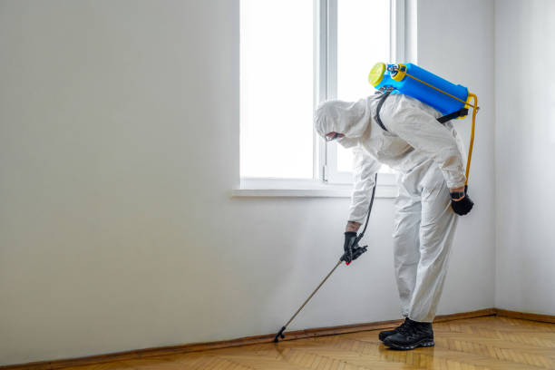 Best Wildlife Control Services  in Phelan, CA