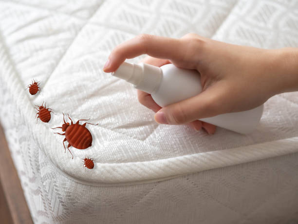 Pest Control Cost in Phelan, CA